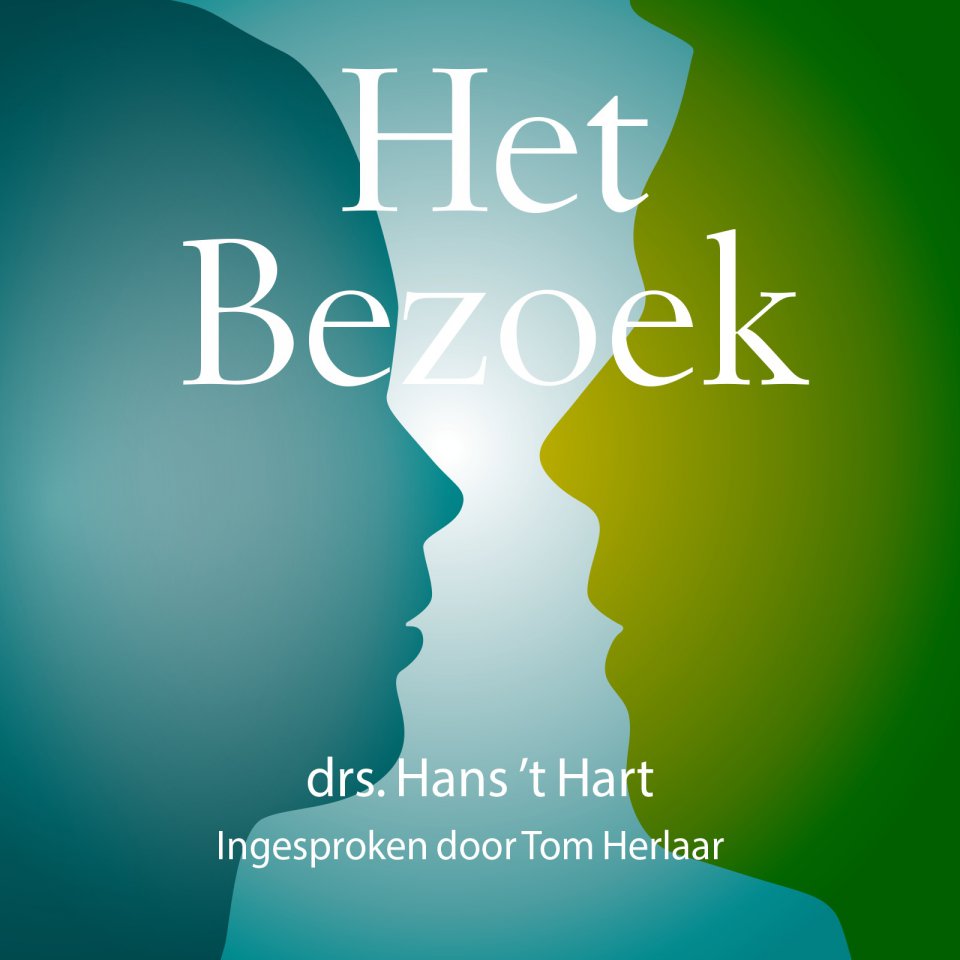 Omslagfoto van Het bezoek: rust en plezier in je relatie