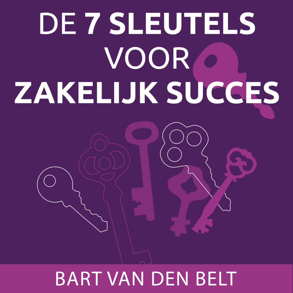 Omslagfoto van De 7 sleutels voor zakelijk succes van je bedrijf