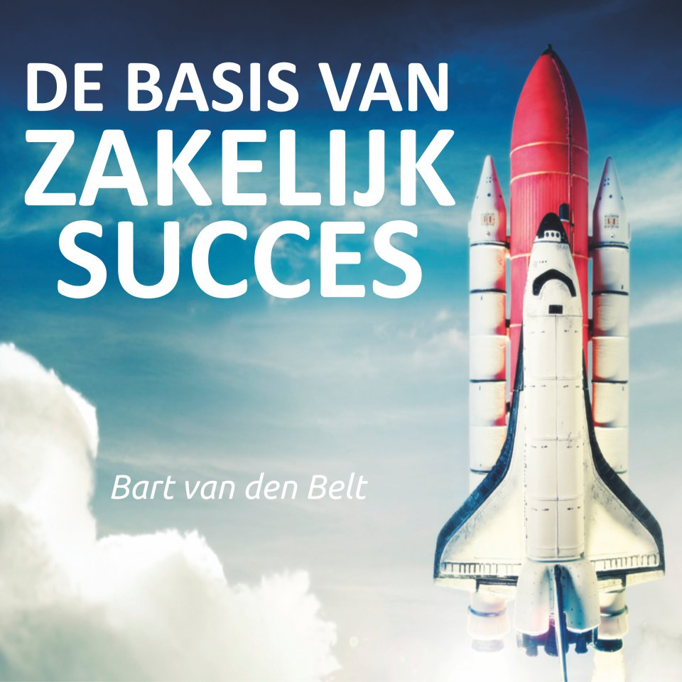 Omslagfoto van De basis van zakelijk succes
