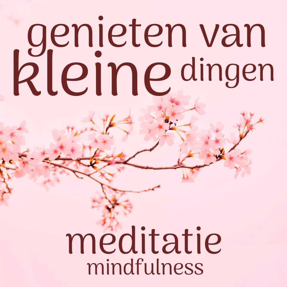 Omslagfoto van Genieten van de kleine dingen: mindfulness meditatie